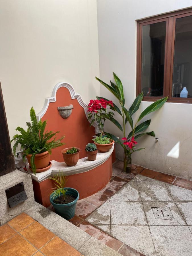 Suite Don Pedro: Hermoso Loft Con Parqueo Gratis! Antigua Εξωτερικό φωτογραφία